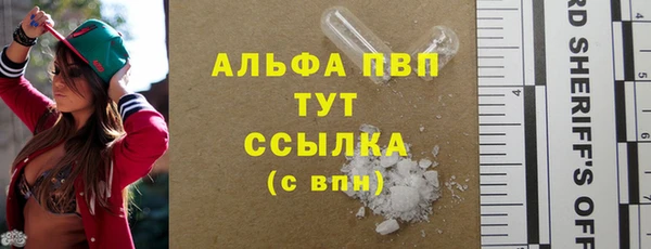 стафф Михайловск