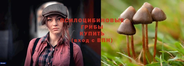 apvp Михайловка
