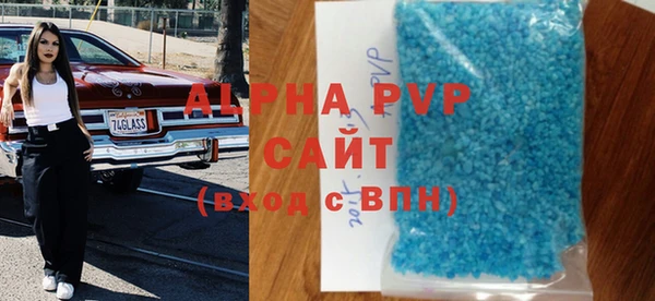 стафф Михайловск